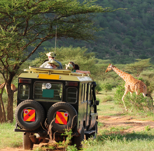 Explore Kenya